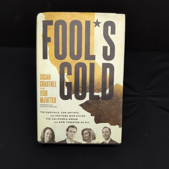 Fool's Gold Hardcover Book - Picture 1 of 14